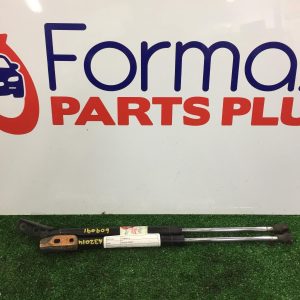 Hatch Strut