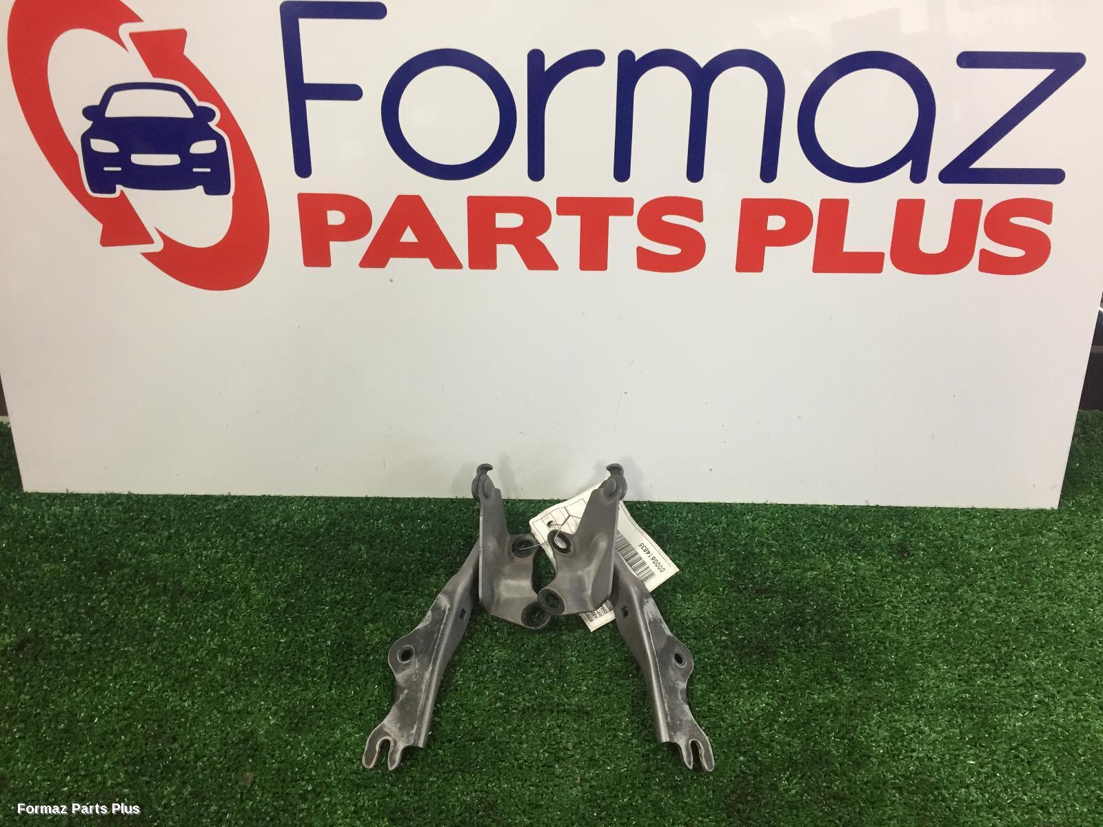 Bonnet Hinge/Strut