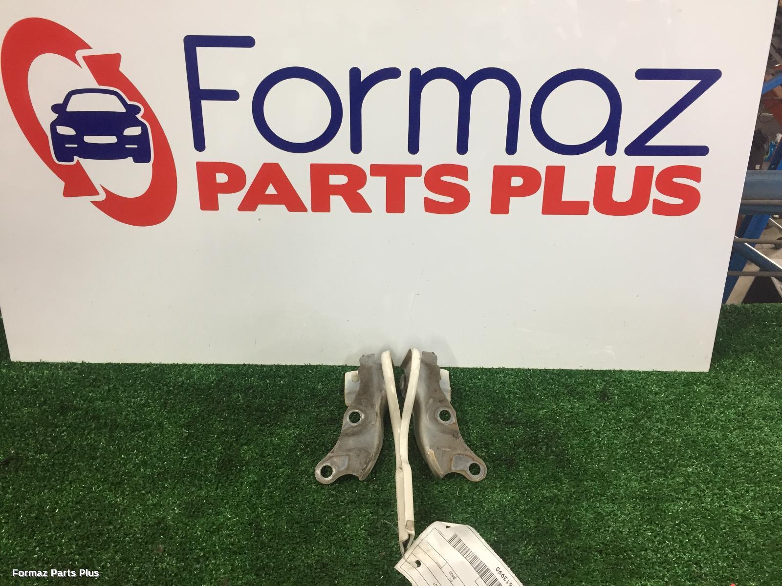 Bonnet Hinge/Strut