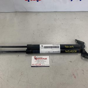 Hatch Strut