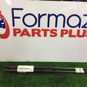 Hatch Strut