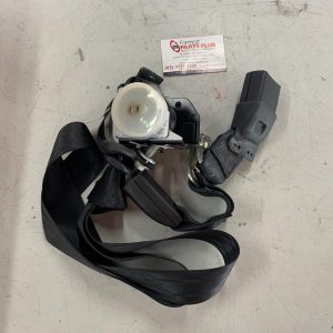 Seatbelt/Stalk