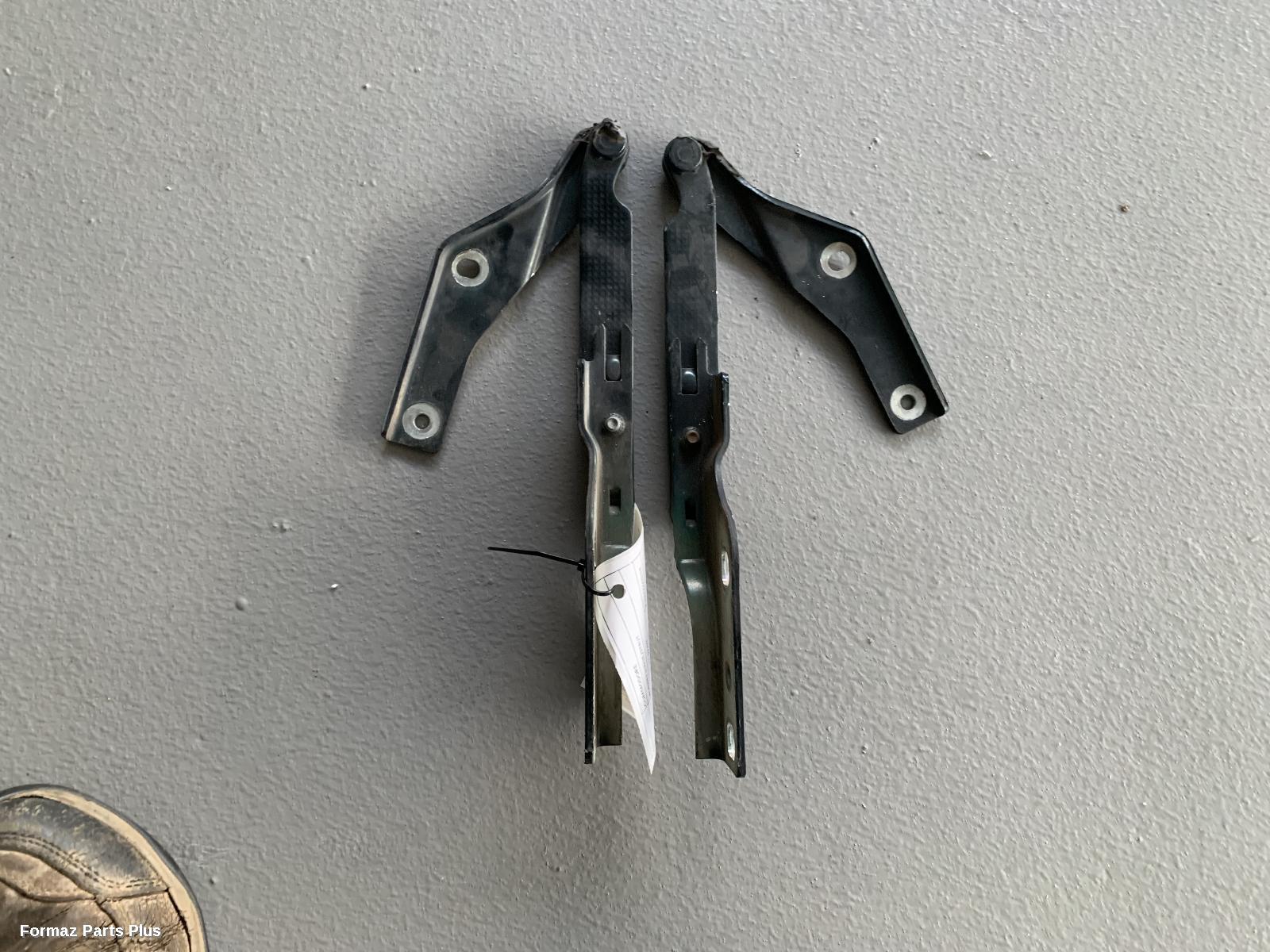 Bonnet Hinge/Strut