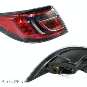 Left Taillight