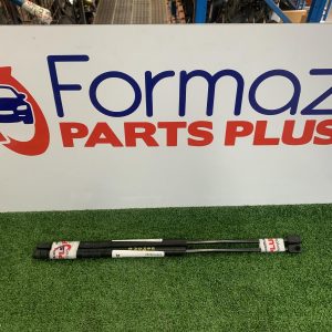 Bonnet Hinge/Strut