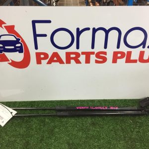 Hatch Strut