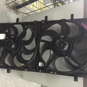 Fan