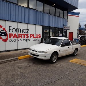 Left Front Strut