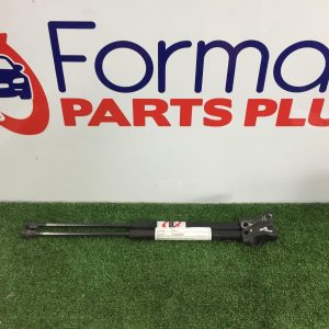 Hatch Strut