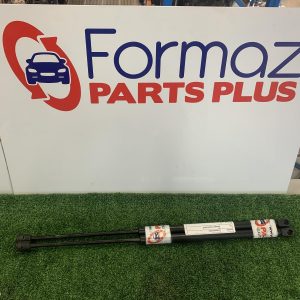 Bonnet Hinge/Strut