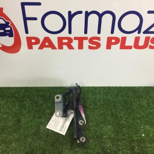 Bonnet Hinge/Strut