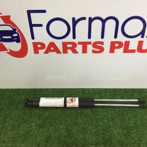 Hatch Strut