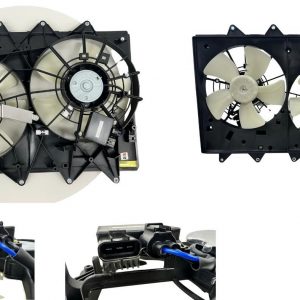 Fan