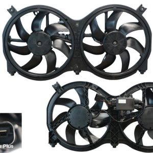 Fan