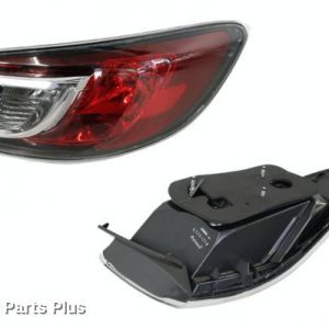 Right Taillight