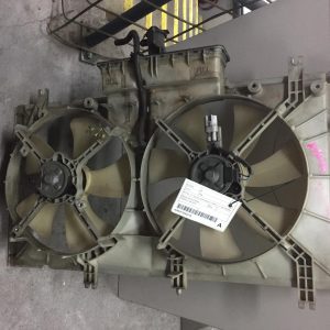 Fan