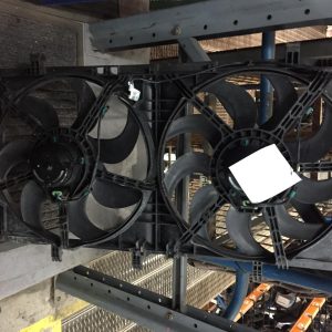 Fan