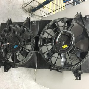 Fan