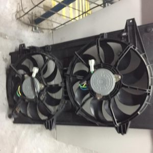 Fan