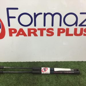 Hatch Strut