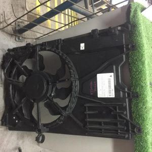 Fan