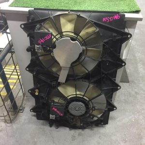 Fan