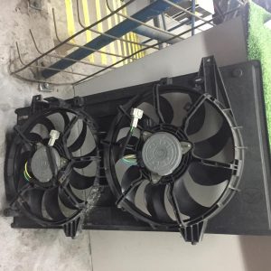 Fan