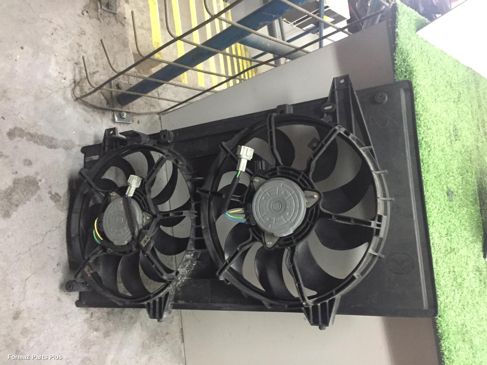 Fan