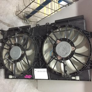 Fan