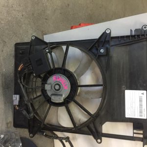 Fan