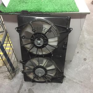 Fan