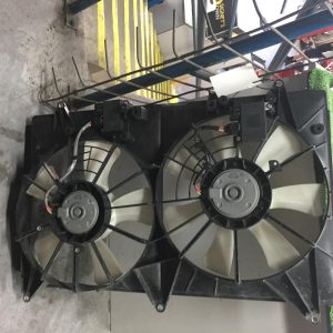Fan