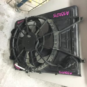 Fan