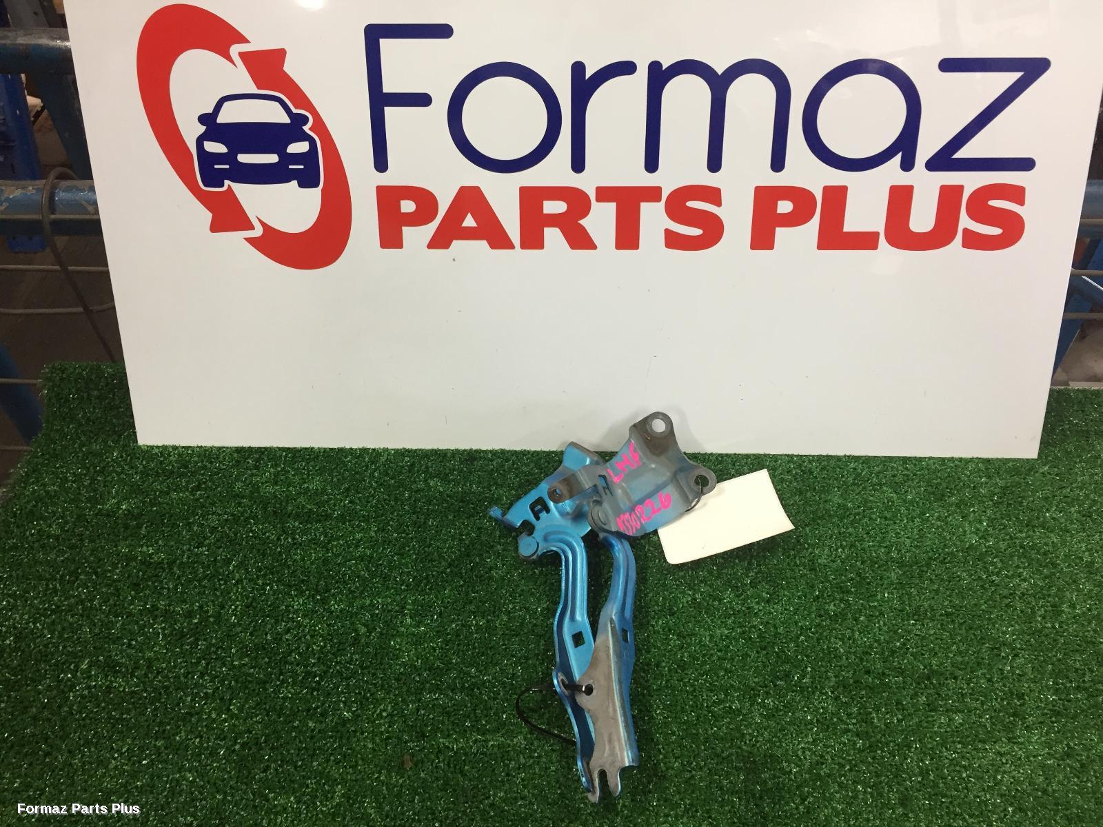 Bonnet Hinge/Strut