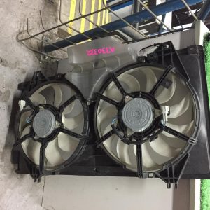 Fan