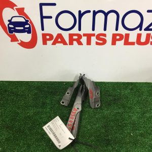 Bonnet Hinge/Strut