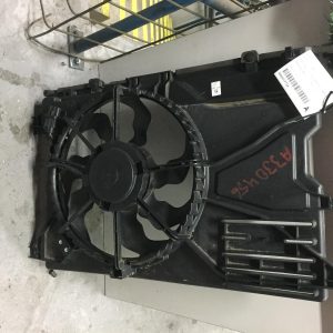 Fan