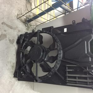 Fan