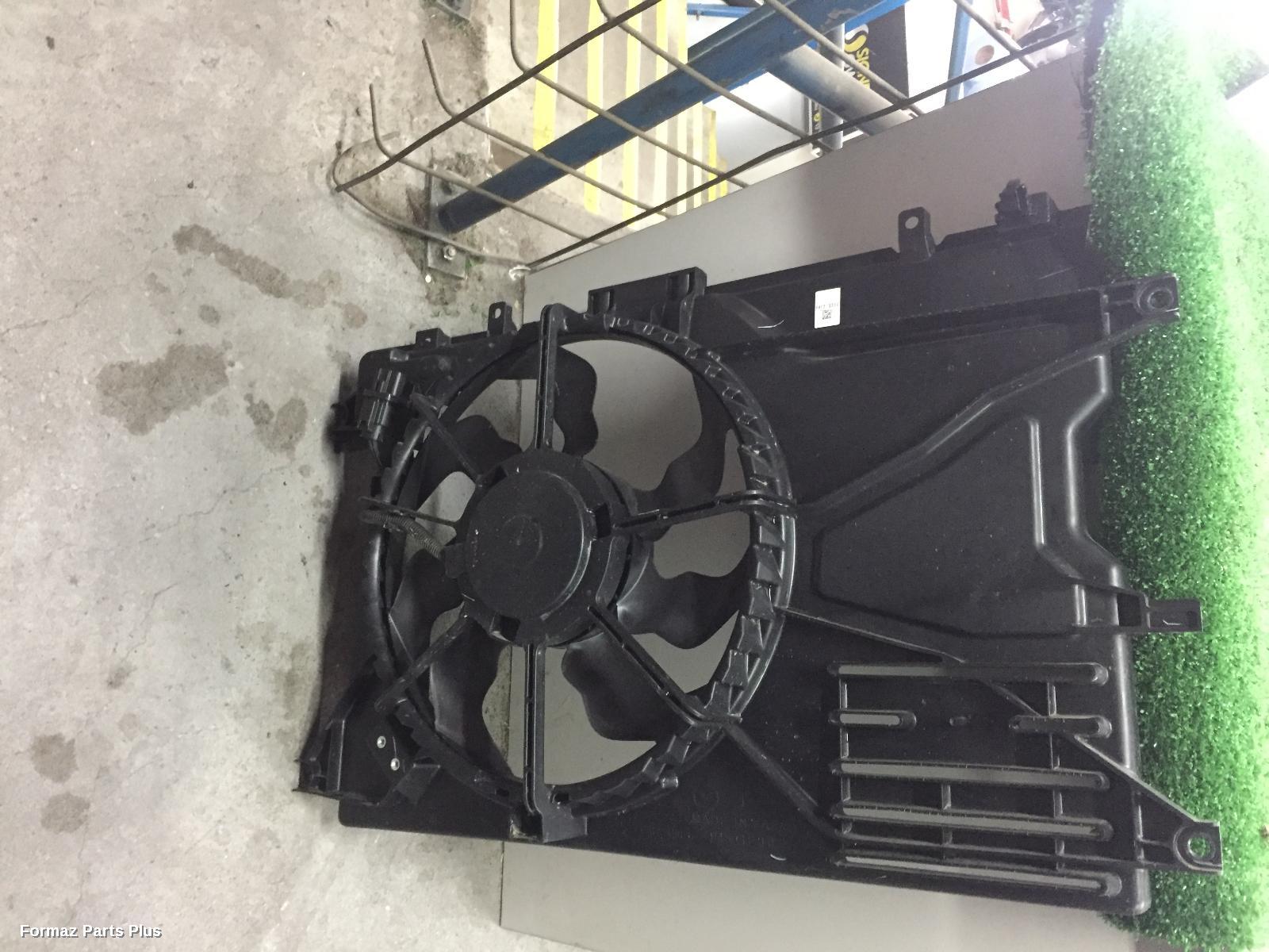 Fan