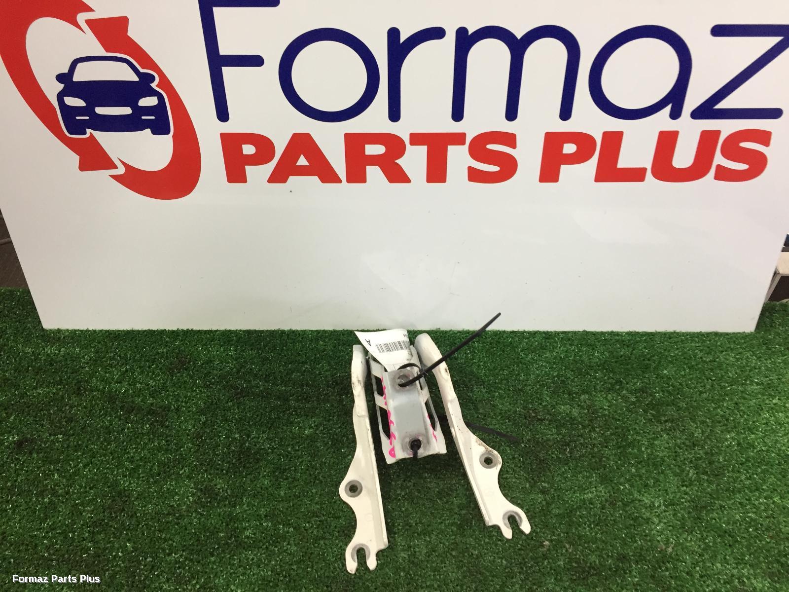 Bonnet Hinge/Strut