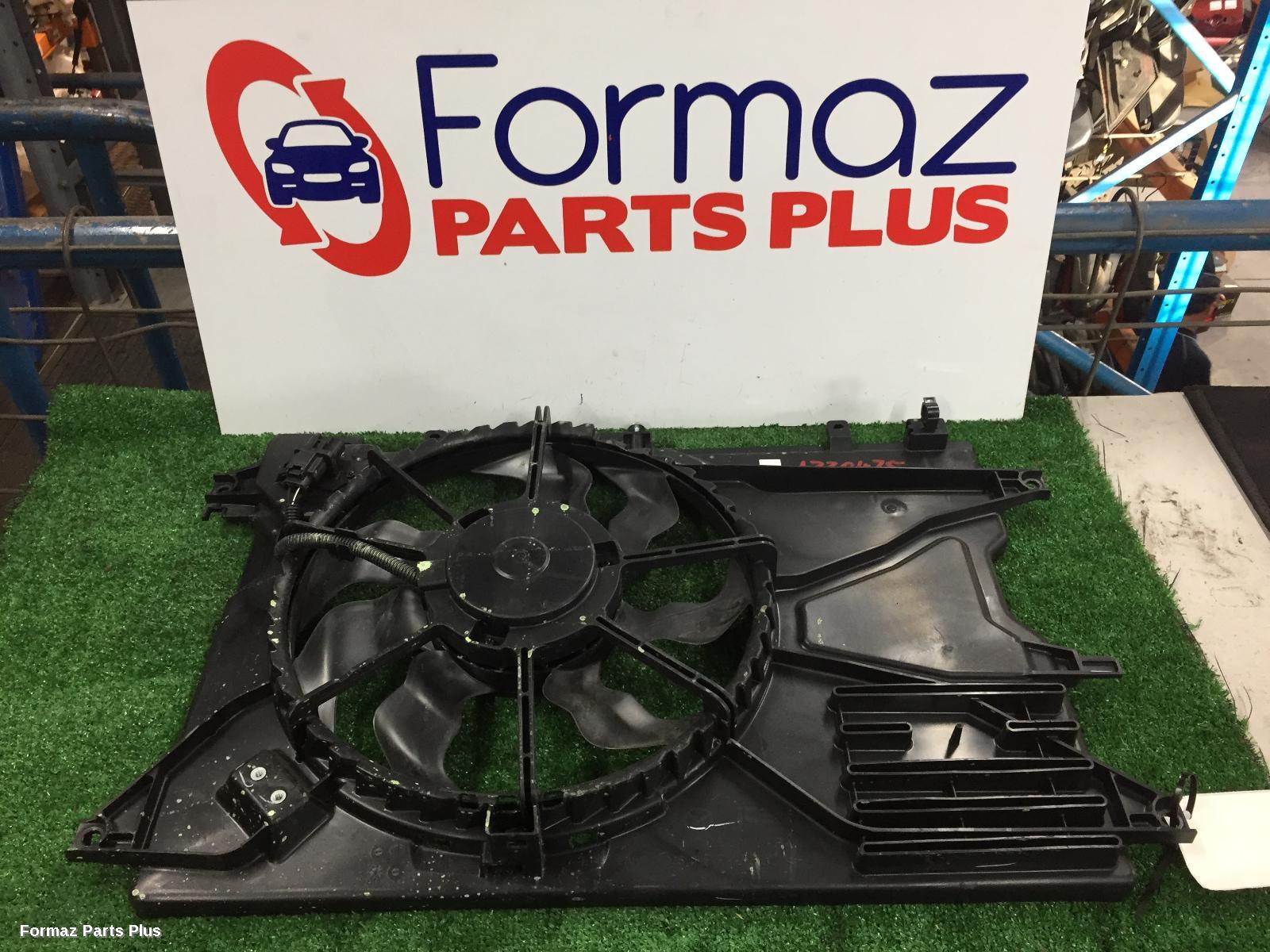 Fan