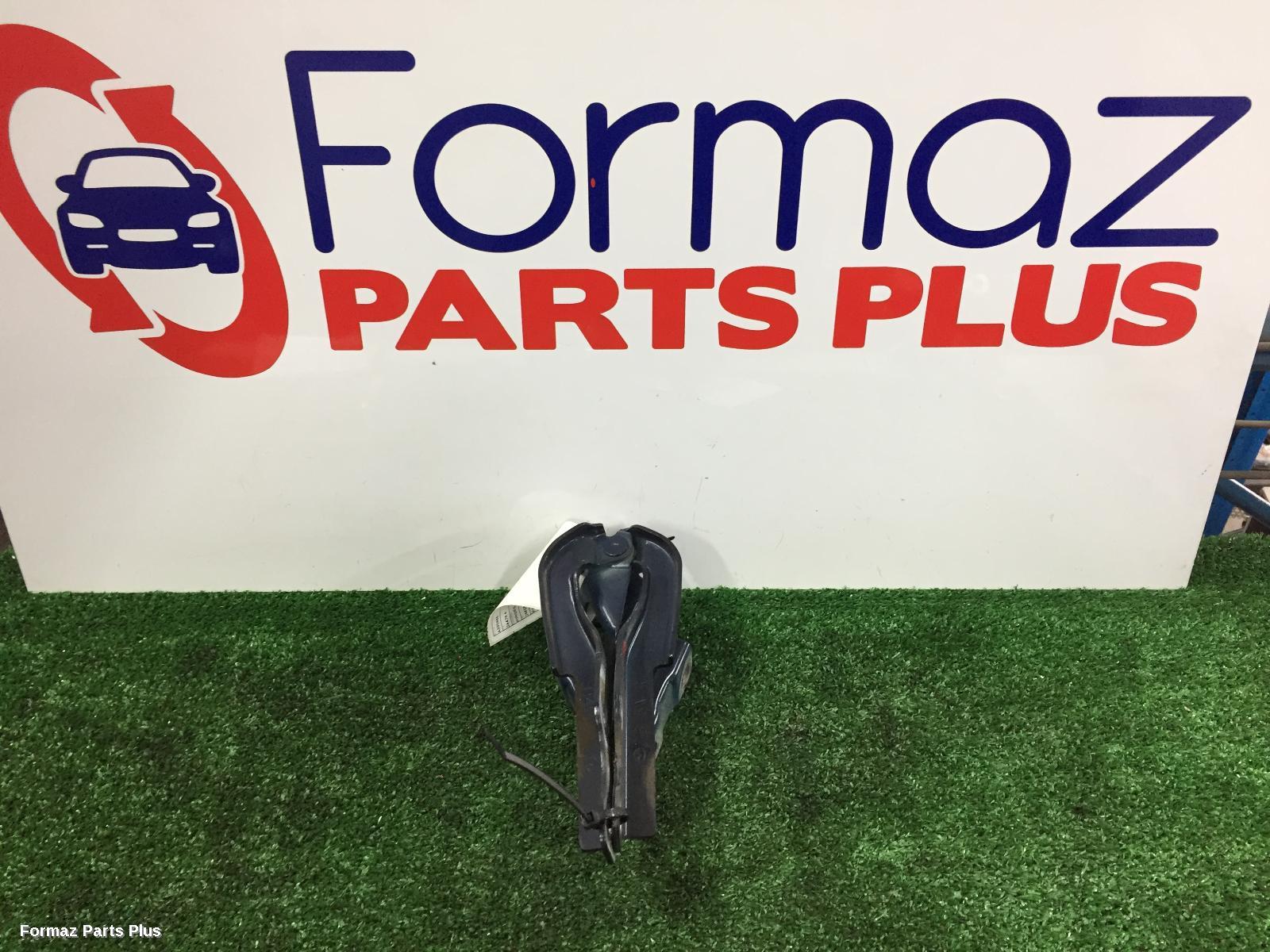 Bonnet Hinge/Strut