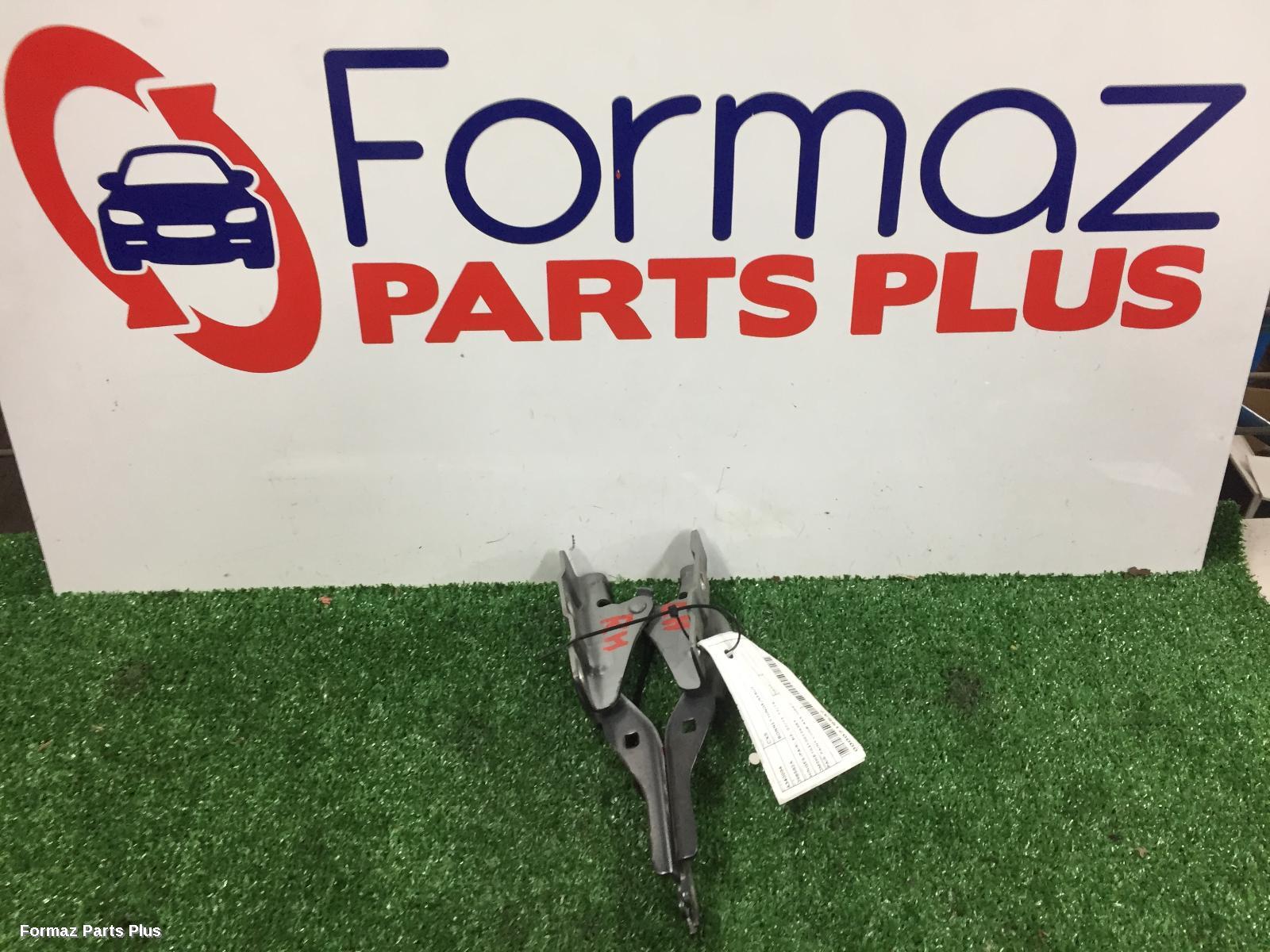 Bonnet Hinge/Strut