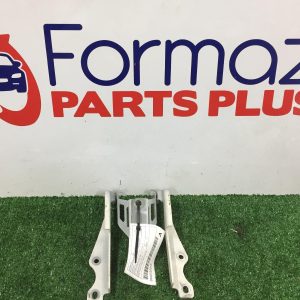 Bonnet Hinge/Strut