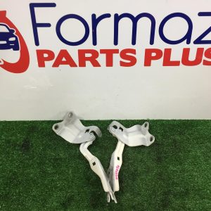 Bonnet Hinge/Strut