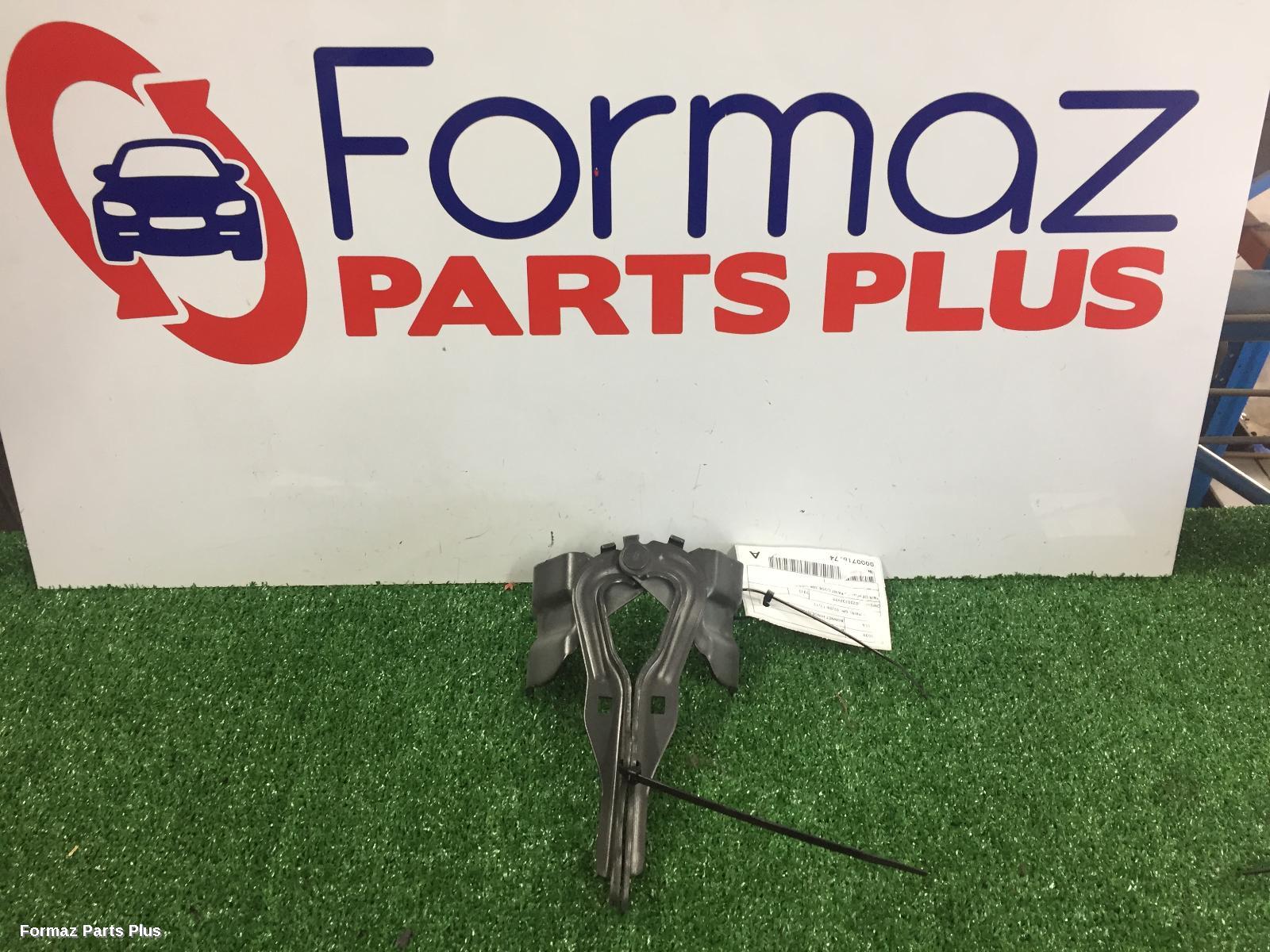 Bonnet Hinge/Strut