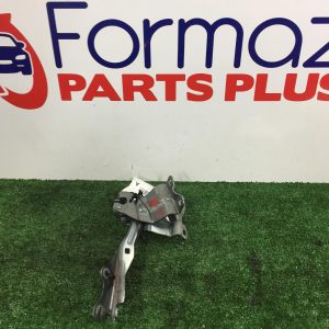 Bonnet Hinge/Strut