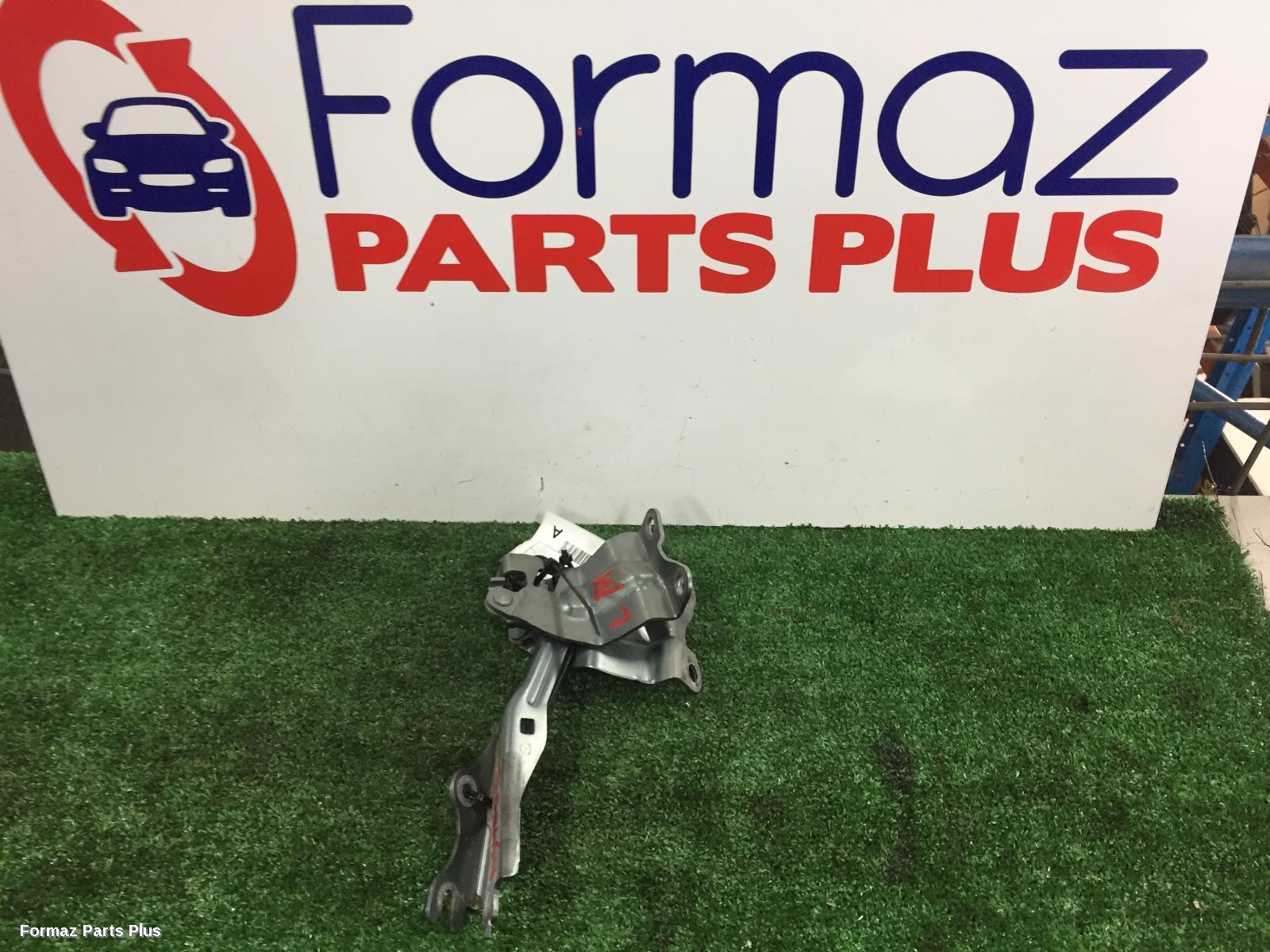 Bonnet Hinge/Strut