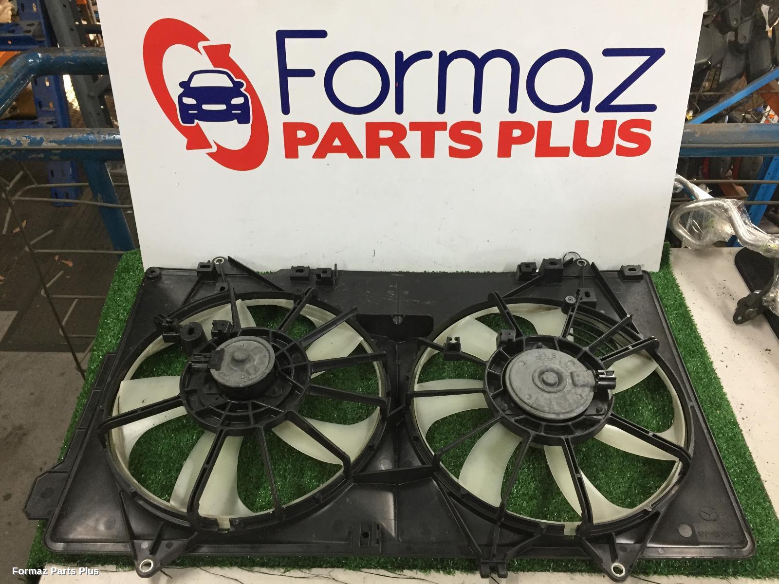 Fan