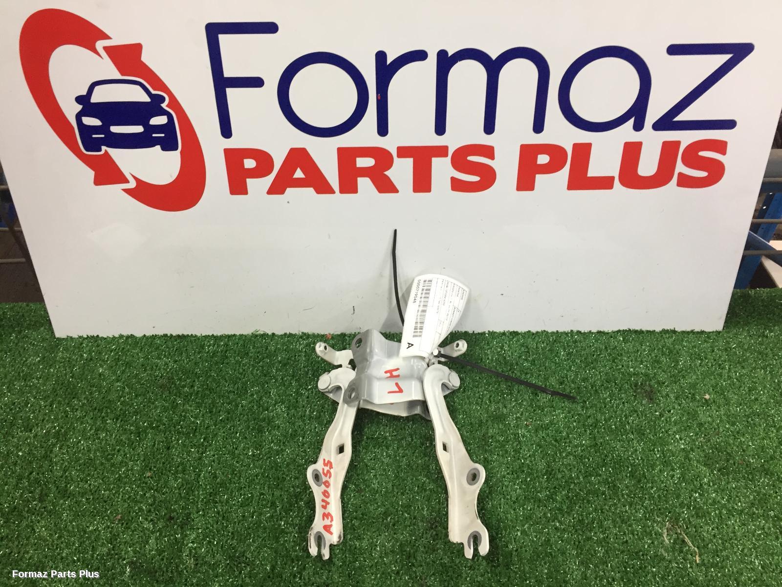 Bonnet Hinge/Strut